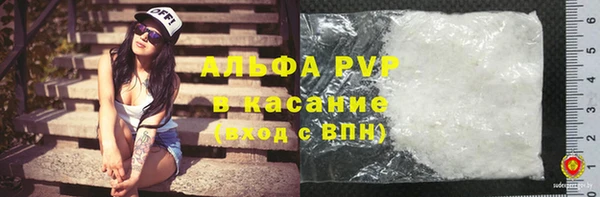 шишки Аркадак