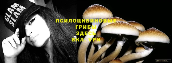 шишки Аркадак
