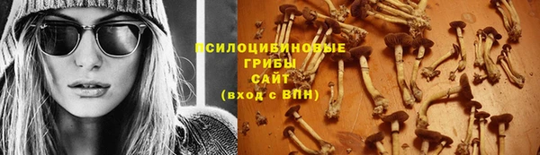 ГАЛЛЮЦИНОГЕННЫЕ ГРИБЫ Покров